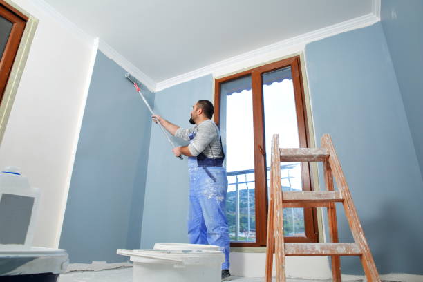 Reliable Westwood, KS Mold Removal Solutions