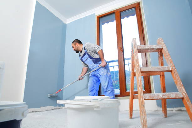 Best Mold Documentation for Insurance Claims  in Westwood, KS