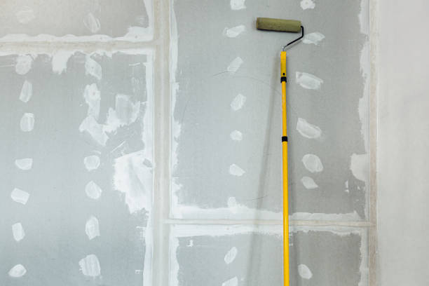 Best Attic Mold Removal  in Westwood, KS