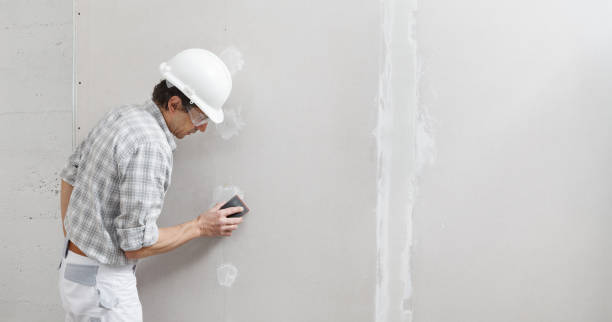 Best Air Quality Testing for Mold Spores  in Westwood, KS