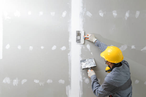 Best Crawl Space Mold Remediation  in Westwood, KS