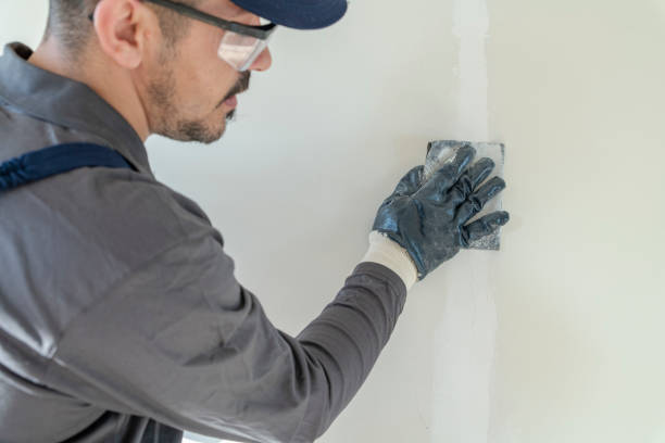 Best Asbestos and Lead Testing During Mold Inspection  in Westwood, KS