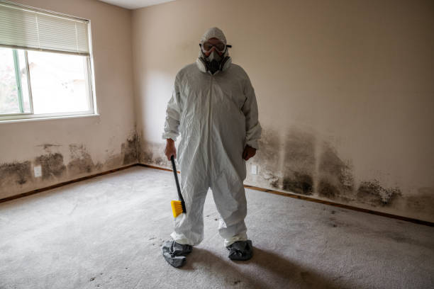 Best Commercial Mold Inspection  in Westwood, KS
